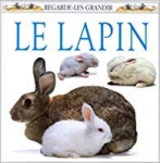 Le lapin