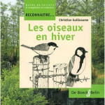 Les oiseaux en hiver