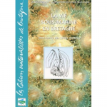 La vie sous-marine en Bretagne