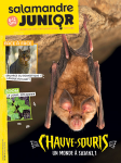 Chauve-souris, un monde à l'envers