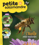 L'abeille, petite aventurière