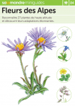 Fleurs des Alpes