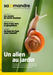 Un alien au jardin