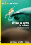 Voyage au centre de la terre