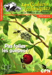 Pas folles les guêpes !