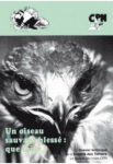 Un oiseau sauvage blessé : que faire ?