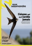 L'oiseau qui ne s'arrête jamais