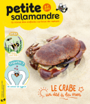 Le crabe, un été à la mer