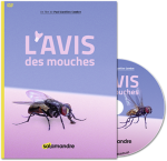 L'avis des mouches