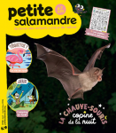 La chauve-souris, copine de la nuit