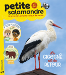 La cigogne est de retour
