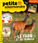 Le faon et sa famille