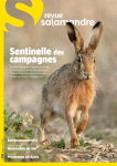 Sommaire du n°268 de la Salamandre