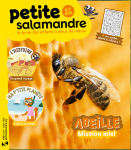 Abeille : mission miel