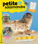 Le phoque se la coule douce