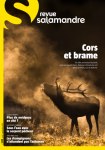 Cors et brame