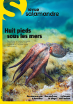 Huit pieds sous la mer