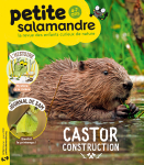 Castor construction