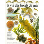 La vie des bords de mer