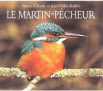 Le martin-pêcheur