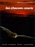 Les chauves-souris