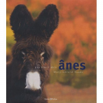 Portrait des ânes