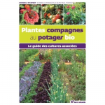 Plantes compagnes au potager bio