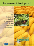 La banane à tout prix