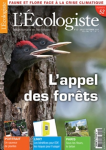 L'appel des forêts