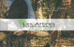 Les arbres remarquables du pays de Fougères