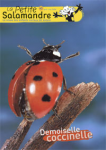 Demoiselle coccinelle
