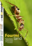 Bienvenue à Fourmicity