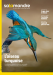 L'oiseau turquoise