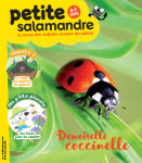 Sommaire du n°5 de la Petite Salamandre