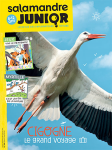 Cigogne, le grand voyage