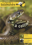 La couleuvre à collier