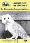 Chouettes et hiboux