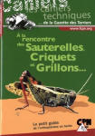 A la rencontre des sauterelles, criquets et grillons...