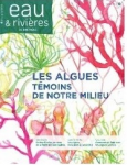 Les algues, témoins de notre milieu