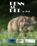 Le retour du loup en Bretagne