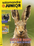 Sommaire du n°140 de la Salamandre junior