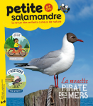 Sommaire du n°37 de la petite Salamandre