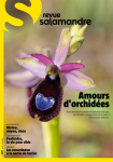 Amours d’orchidées