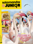 Festivals de flamants roses