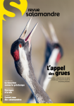 L'appel des grues