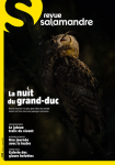 La nuit du grand-duc