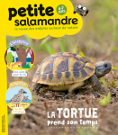 La tortue prend son temps