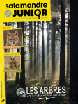 Sommaire du n°144 de la Salamandre junior