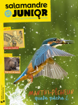 Sommaire du n°146 de la Salamandre junior