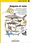 Requins et raies